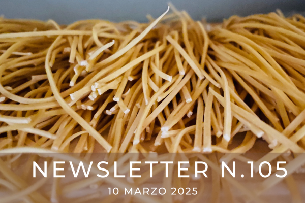 NEWSLETTER N. 105