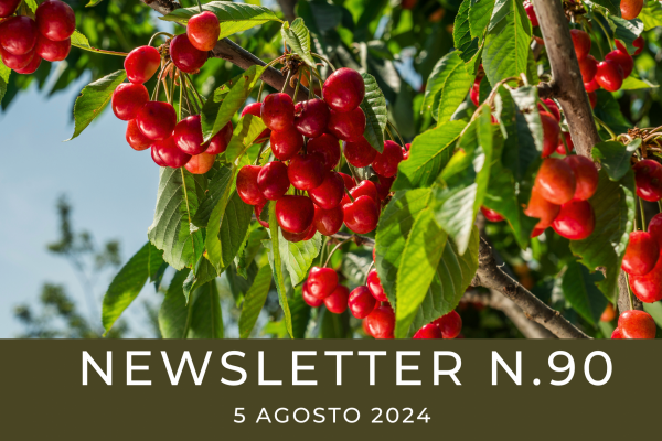 NEWSLETTER N. 90