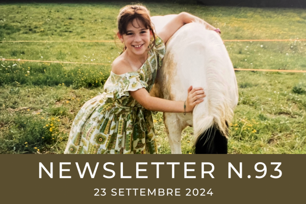 NEWSLETTER N. 93